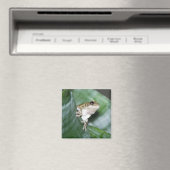 "Fridge Frog Magnet (Insitu (Vaatwasser))