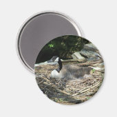 "Fridge Goose Magnet (Voorkant / Achterkant)