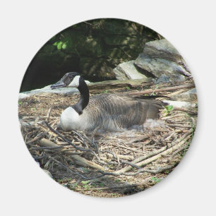 "Fridge Goose Magnet