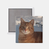 Fridge Kat Magneet (Voorkant / Achterkant)