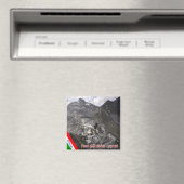 Fridge Magneet (Insitu (Vaatwasser))
