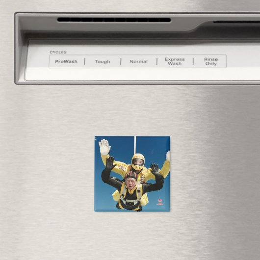 Fridge Magnet (Insitu (Vaatwasser))
