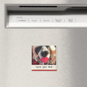 Fridge magnet (Insitu (Vaatwasser))