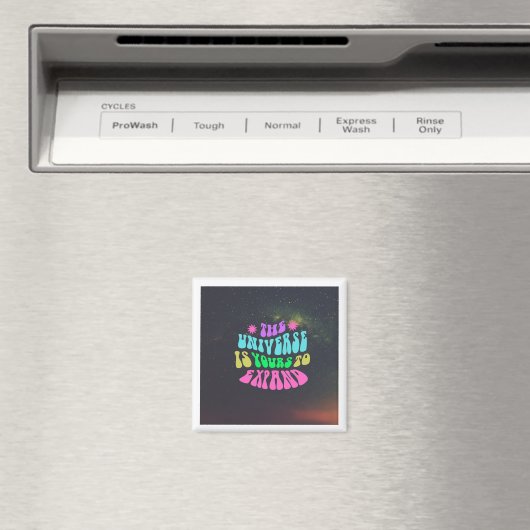 Fridge Magnet in douaneontwerpen (Insitu (Vaatwasser))