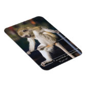 Fridge Magnet met aap en slogan Magneet (Rechterzijde)