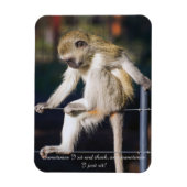 Fridge Magnet met aap en slogan Magneet (Verticaal)