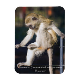 Fridge Magnet met aap en slogan Magneet