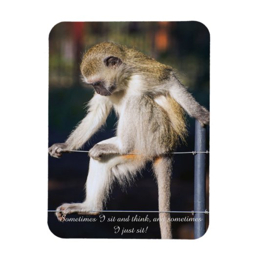 Fridge Magnet met aap en slogan Magneet (Verticaal)