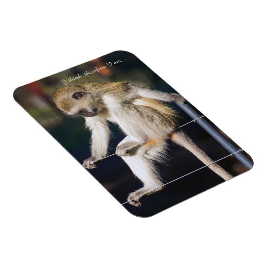 Fridge Magnet met aap en slogan Magneet (Rechterzijde)