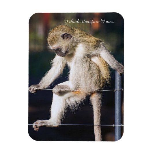 Fridge Magnet met aap en slogan Magneet (Verticaal)