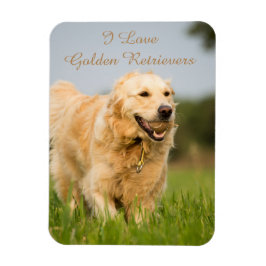 Fridge Magnet met Golden Retriever en Slogan Magneet