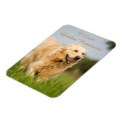Fridge Magnet met Golden Retriever en Slogan Magneet (Linkerzijde)