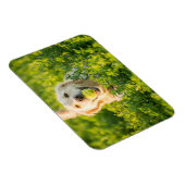 Fridge Magnet met Golden Retriever en Slogan Magneet (Rechterzijde)