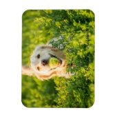 Fridge Magnet met Golden Retriever en Slogan Magneet (Verticaal)