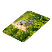 Fridge Magnet met Golden Retriever en Slogan Magneet (Linkerzijde)