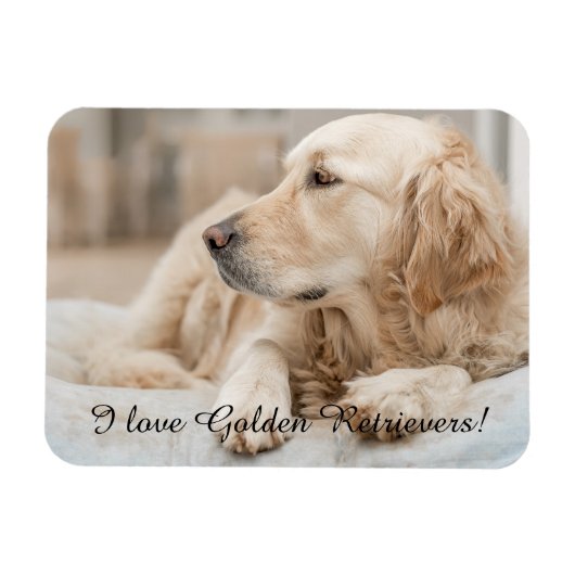 Fridge Magnet met Golden Retriever en Slogan Magneet (Horizontaal)