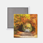 Fridge Magnet Yellow Bog Kilcullen (Voorkant / Achterkant)