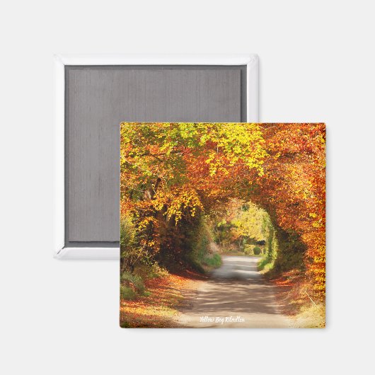 Fridge Magnet Yellow Bog Kilcullen (Voorkant / Achterkant)