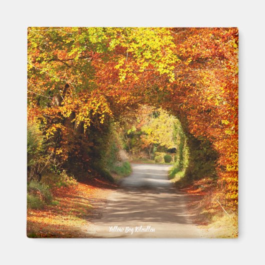 Fridge Magnet Yellow Bog Kilcullen (Voorkant)