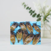 Fried Giant Water Bug (Maeng Daa) ... Aziatische l Briefkaart (Staand voorkant)