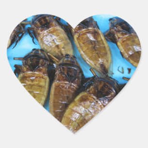 Fried Giant Water Bug (Maeng Daa) ... Aziatische l Hart Sticker