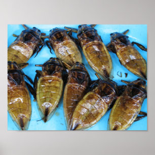 Fried Giant Water Bug (Maeng Daa) ... Aziatische l Poster