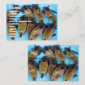 Fried Giant Water Bug (Maeng Daa) ... Aziatische l Visitekaartje (Voorkant / Achterkant)