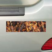 Fried Grasshopper (Takkataen Thot) Asian Food Bumpersticker (Op auto)