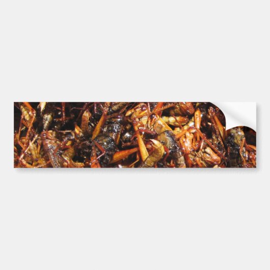 Fried Grasshopper (Takkataen Thot) Asian Food Bumpersticker (Voorkant)