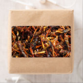 Fried Grasshopper (Takkataen Thot) Asian Food Etiket (Insitu)