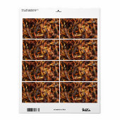 Fried Grasshopper (Takkataen Thot) Asian Food Etiket (Full Sheet)