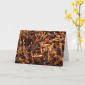 Fried Grasshopper (Takkataen Thot) Asian Food Kaart (Gele Bloem)