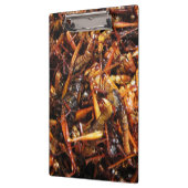 Fried Grasshopper (Takkataen Thot) Asian Food Klembord (Links)