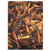 Fried Grasshopper (Takkataen Thot) Asian Food Klembord (Achterkant)