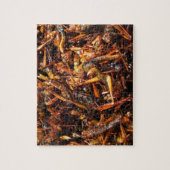 Fried Grasshopper (Takkataen Thot) Asian Food Legpuzzel (Verticaal)