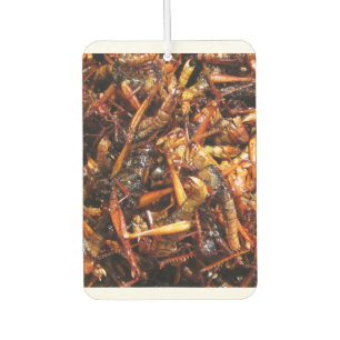 Fried Grasshopper (Takkataen Thot) Asian Food Luchtverfrisser