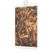 Fried Grasshopper (Takkataen Thot) Asian Food Luchtverfrisser (Links)