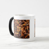 Fried Grasshopper (Takkataen Thot) Asian Food Magische Mok (Voorkant links)