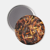 Fried Grasshopper (Takkataen Thot) Asian Food Magneet (Voorkant / Achterkant)