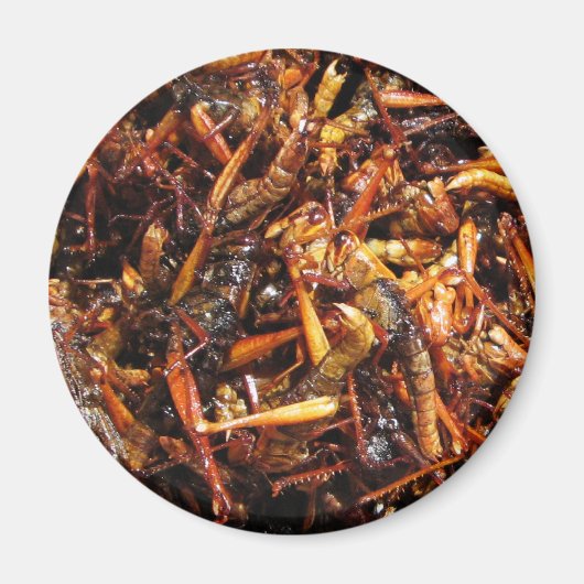 Fried Grasshopper (Takkataen Thot) Asian Food Magneet (Voorkant)