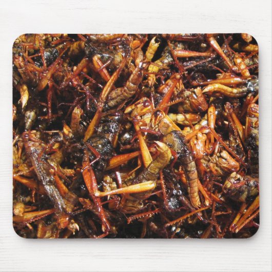 Fried Grasshopper (Takkataen Thot) Asian Food Muismat (Voorkant)