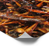 Fried Grasshopper (Takkataen Thot) Asian Food Poster (Hoek)