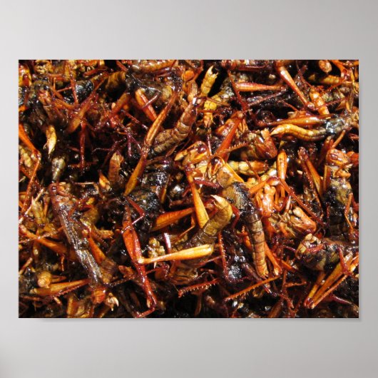 Fried Grasshopper (Takkataen Thot) Asian Food Poster (Voorkant)