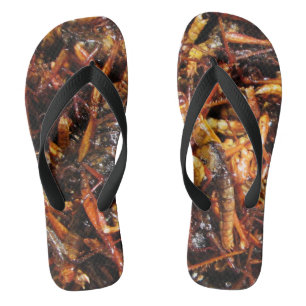 Fried Grasshopper (Takkataen Thot) Asian Food Teenslippers