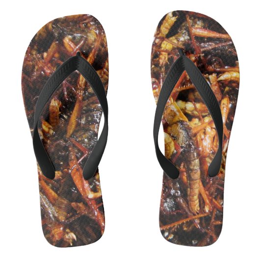 Fried Grasshopper (Takkataen Thot) Asian Food Teenslippers (Voetbed)