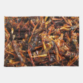 Fried Grasshopper (Takkataen Thot) Asian Food Theedoek (Horizontaal)