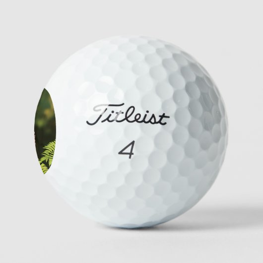 Frieda de Schreeuwuil: een nachtelijke schoonheid Golfballen (Logo)