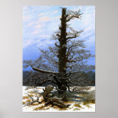Friedrich - eikenboom in de sneeuw poster (Voorkant)