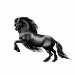 Frieisiaans paard, zwarte hengst fotobeeldje magneet<br><div class="desc">afbeelding komt uit het collectie van kunst,  design en foto's van Danaru</div>