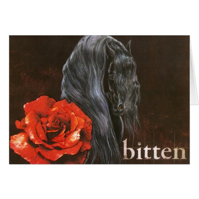 Frieisian Horse "Bitten" (Voorkant Horizontaal)